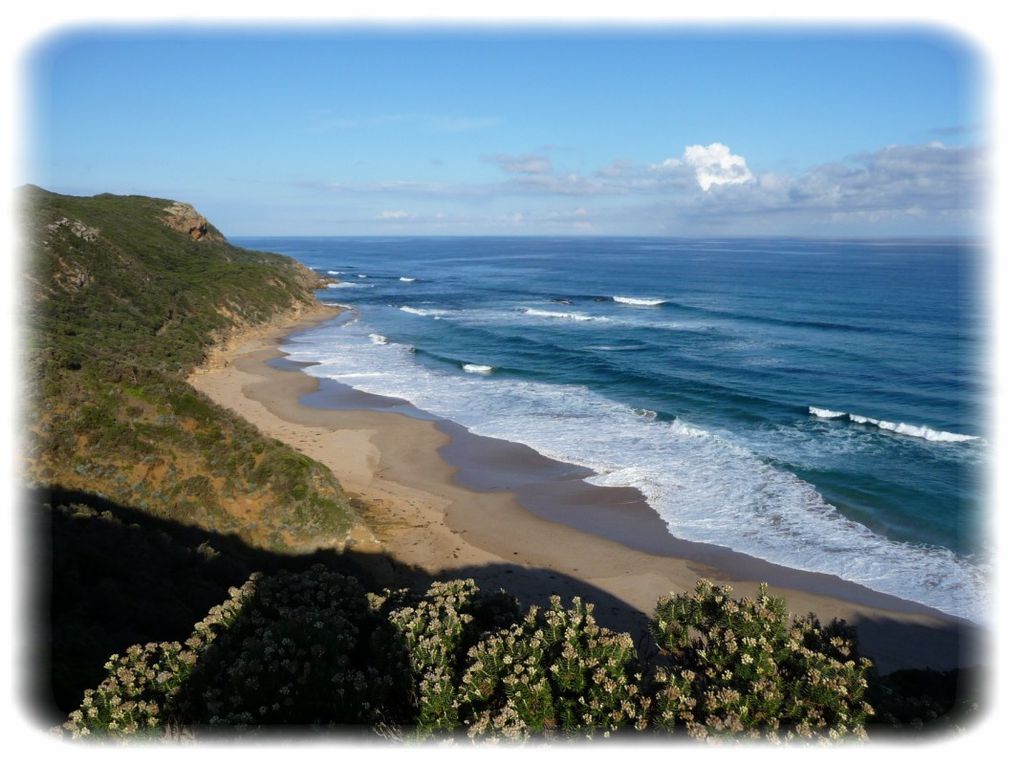 Album - Great Ocean Road