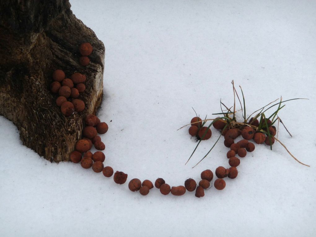 Album - 990- Land art