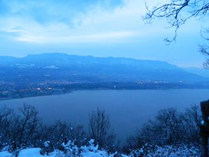 Le castor, sous la neige.