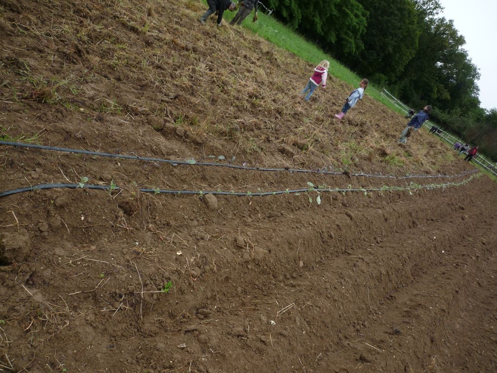 Travaux solidaires le 16 juin 2012.