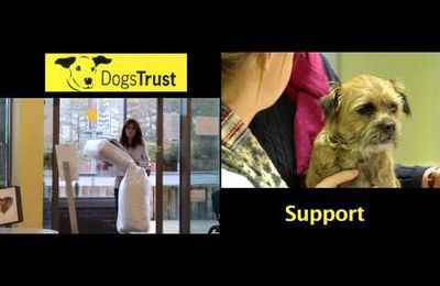 Follow the link to support Dogs Trust and save a life today