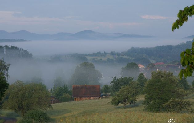 brouillard de mai au petit matin