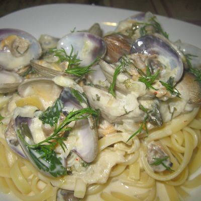 Linguines aux palourdes, citron confit et fenouil