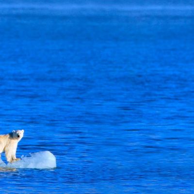 La Terre vit sa période la plus chaude depuis 2 000 ans