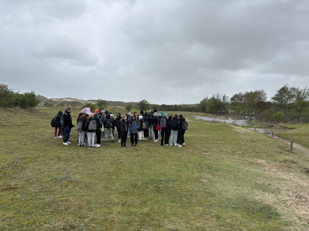FR24 Discovering the sand dunes