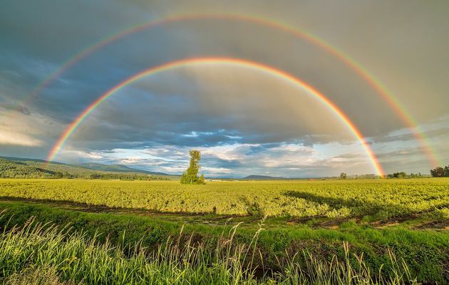 Partir vivre au Canada 