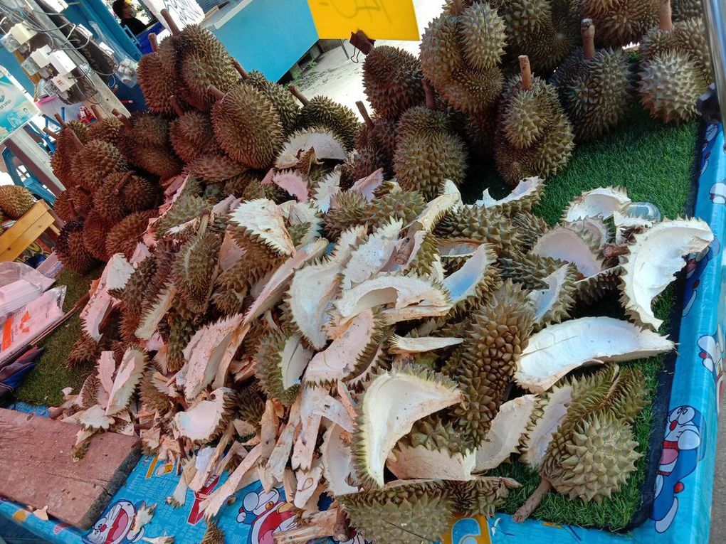 Les durians reviennent sur les marchés - Fruits de saison (21-07)