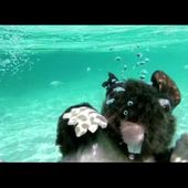 Moby - Saints (Official Music Video)