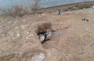 Puerto Madryn