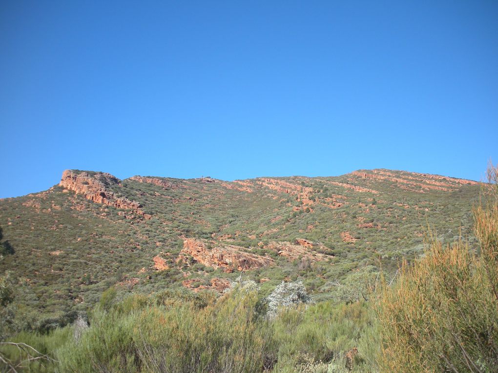 Une journée passée dans les Flinders Ranges, parc naturel de South Australia