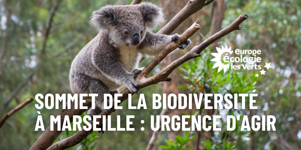 Sommet pour la biodiversité : qui y croit ?