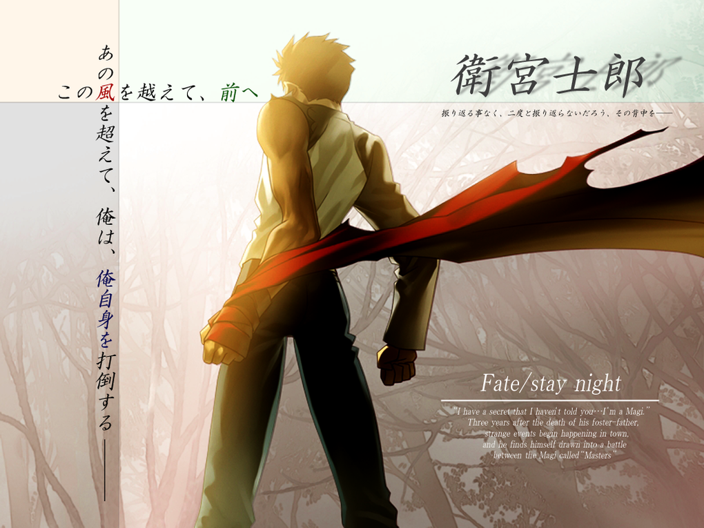 Album - Fate-Stay-Night