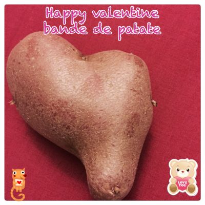 bonne saint valentin