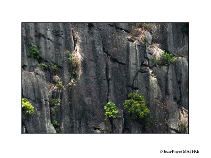 La baie Halong est l'une des merveilles les plus incroyables de la nature qui nous surprend sans cesse par ces innombrables graphismes de pierres..