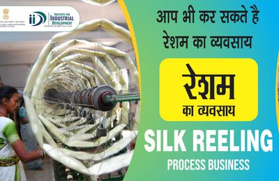 Advantages of Starting Silk Reeling Business-IID