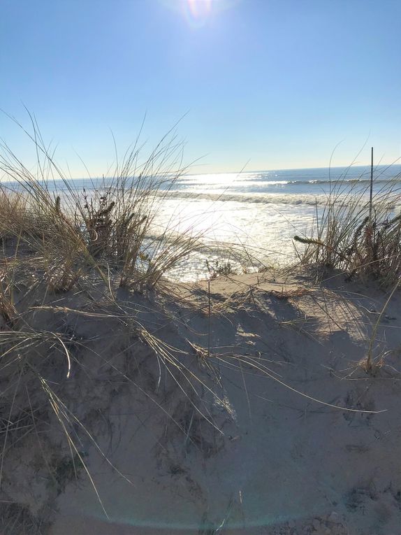 17 février 2019 : un jour de printemps en hiver sur la Côte d'Opale !