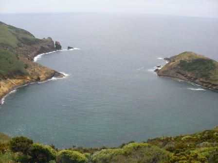 Archipel des Açores.
Visite des îles : Faial - Terceira