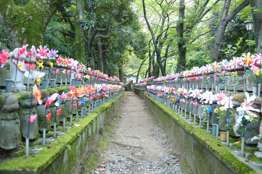 Le parc de Zōjō-ji 