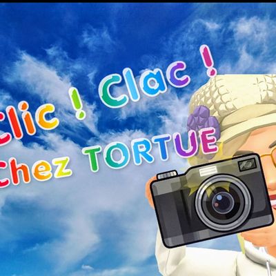 CLIC ! CLAC ! chez TORTUE 