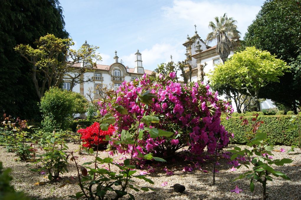 Nord-est du Portugal