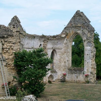 Bois de Céné (85) – L’Abbaye de l’Ile Chauvet