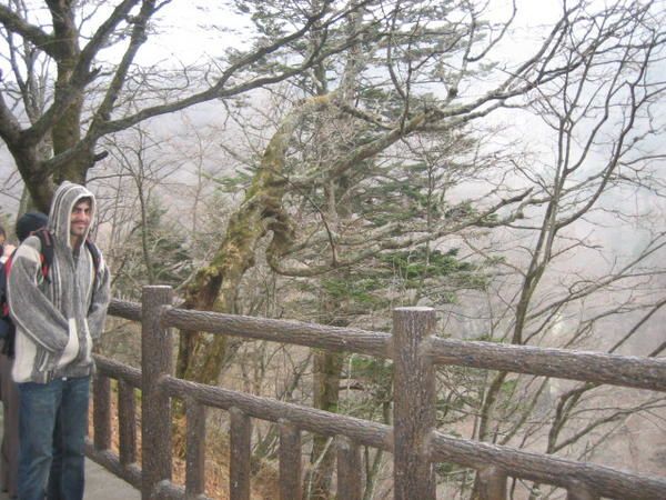 des paysages dans la pr&eacute;fecture de tochigi