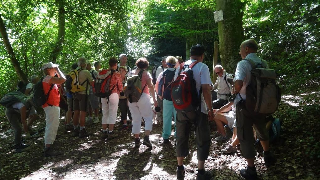 Ste Baume, la Grotte et le sentier merveilleux..