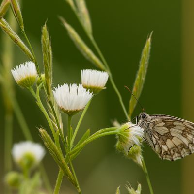 sans titre (109 sur 1)