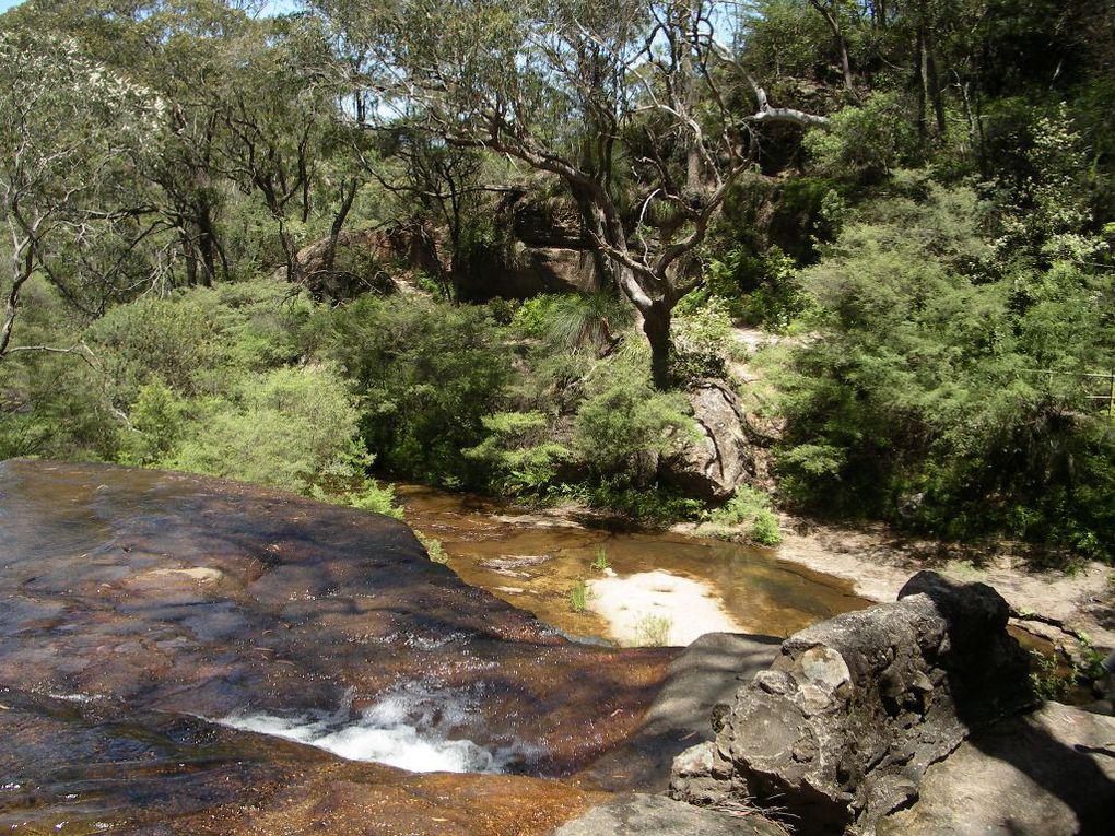 Album - The-Ultimate-Oz-Experience---Sydney + Blue Mountains