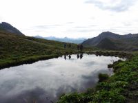 Le long de rochers. Vers le plan de la Marmotte.