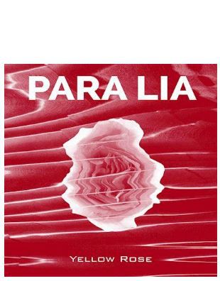 Para Lia  ○ Yellow Rose