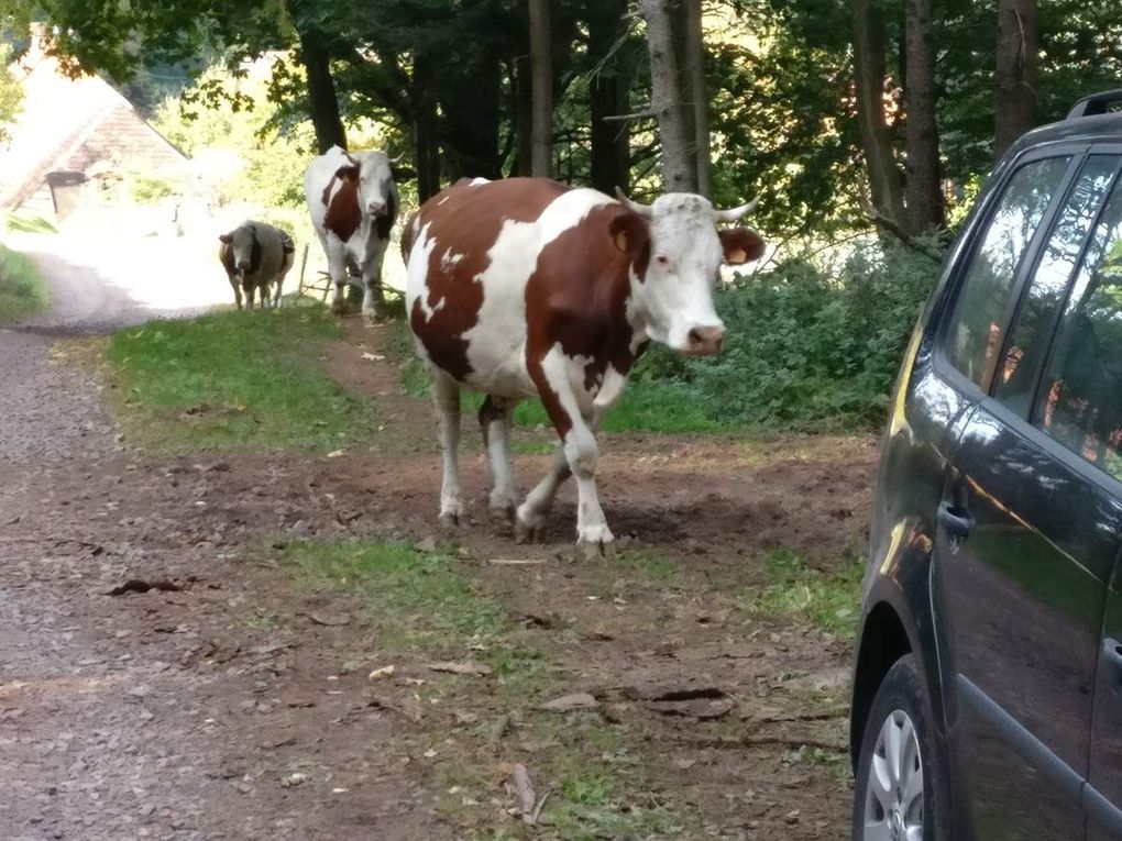 1er WE 3 jours de la section rando 5 au 7 oct 2018