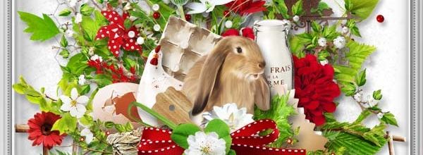 COUNTRY SPRING