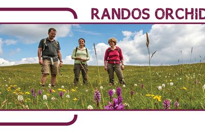 Randonnées Orchidées Sauvages proposées par le CDRP91