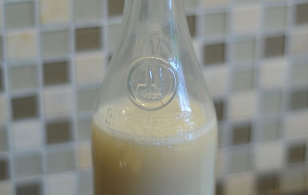 Lait d'avoine maison