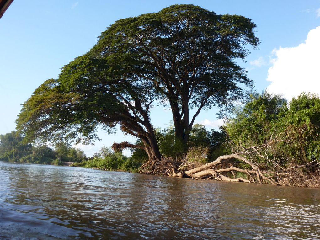 Et voilà les photos du Laos. Comme vous pourrez le voir, les paysages sont variés et nombreux