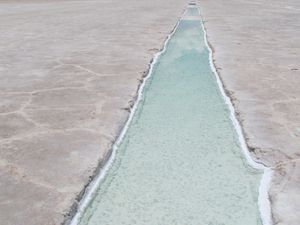 Nous voici en route pour Salinas Grandes! C’est l’un des plus grands salars (désert de sel) du monde, ce site d’une beauté à couper le souffle,  est située dans la province de Jujuy.  Cet ancien lac de sel, dont l’épaisseur atteint les 30 cm, se situe à 3.415 m d’altitude et s’étend sur près de 12.000 hectares. Estamos en ruta para Salinas Grandes. Es uno de mas grande salar (desierto de sal)  del mundo, este sitio de una belleza que corta la respiración, ubica en la provincia de Jujuy. Es un antiguo lago de sal cuyo el grosor llega los 30 centimetros. Es a 3415 m y el salar se extende sobre mas de 12 000 hectarea.