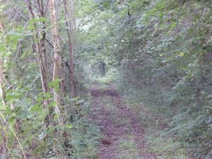 En 1944, le mouin de Montperet était déjà presqu'en ruine et servait de refuge aux FTP du secteur de St Benoît. Le 27 juillet 1944, 400 à 500 soldats allemands arrivèrent par La Frissonnette et par Le Meslier. Un jeune résistant, Sylvain Maignan, fut fait prisonnier. Il fut torturé puis brûlé vif dans le moulin.