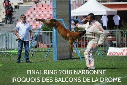 Le vainqueur 2018 de la finale ring: Iroquois des balcons de la Drôme à Samuel Oliver (coupe et championnat)