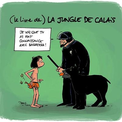 (Le livre de) La jungle de Calais