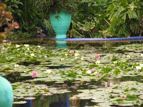 Le Jardin Majorelle et ses merveilleuses couleurs (même sous la pluie)