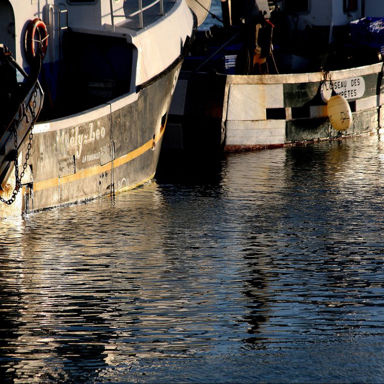 Les bateaux de pêche dans le port de la Turballe Loire-Atlantique - Photos Thierry Weber