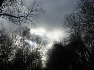 Souffle le vent, coure l'eau, rêve le temps