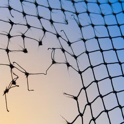 Surtourisme : fléau ou survie du Lavandou ?