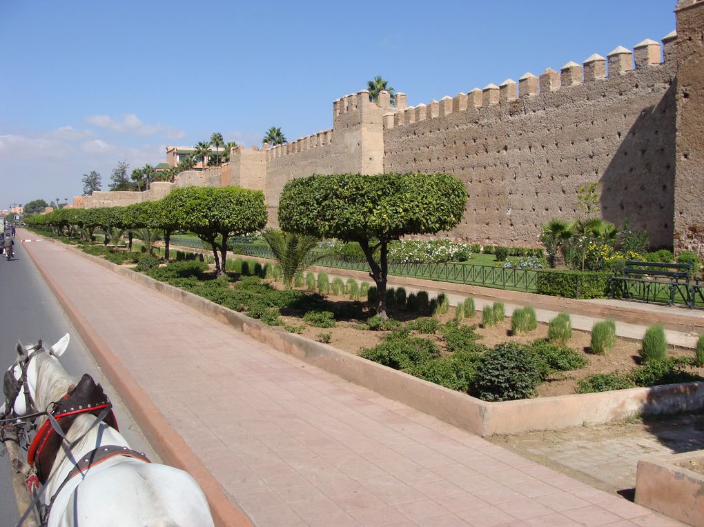 Escapade de 4 jours à Marrakech, Essaouira et le haut Atlas en 2011