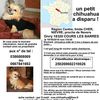 Disparition !