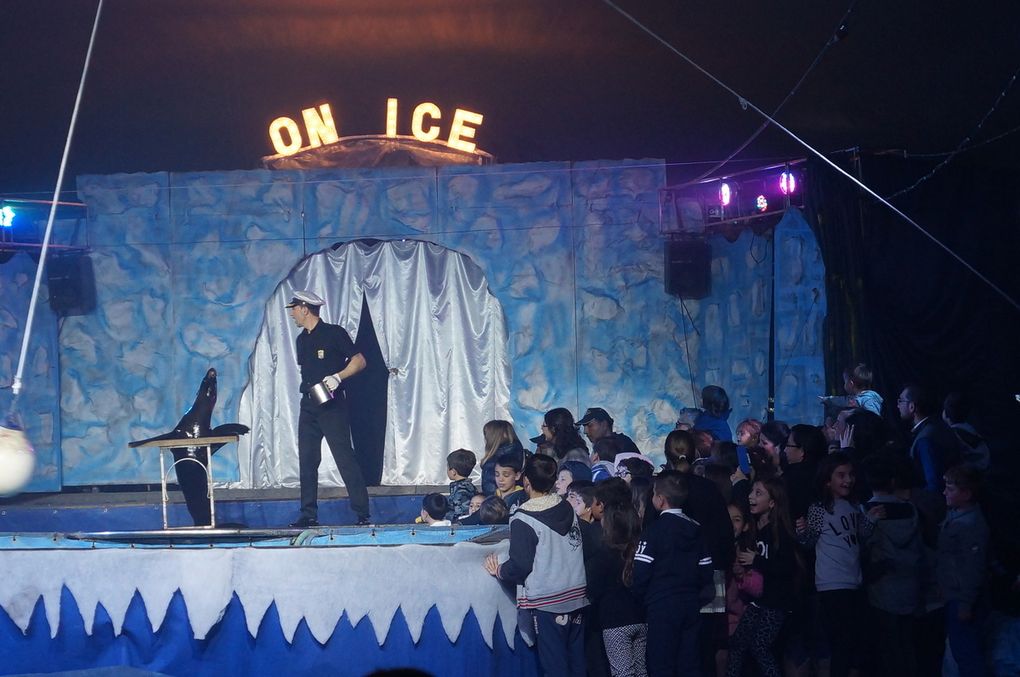 Circus on Ice a Palermo. Intrattenimento condito di schiettezza e semplicità 