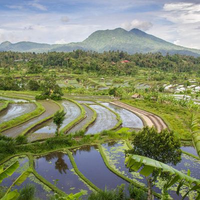 Comment tomber sous le charme de Bali