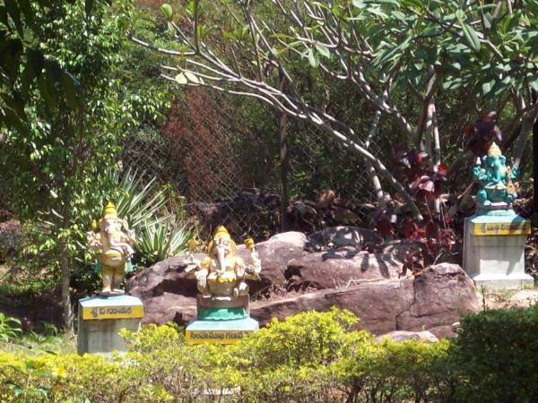 Notre excursion au temple de Tirupathi. ENtrez chez les Dieux.