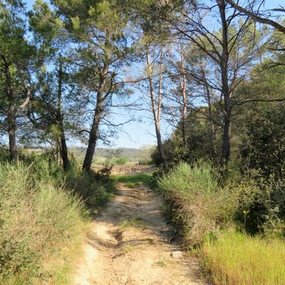 Nouvelle petite balade pendant le confinement / Balade en Provence